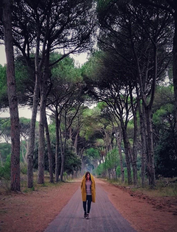 Viale del Gombo al parco di San Rossore a Pisa