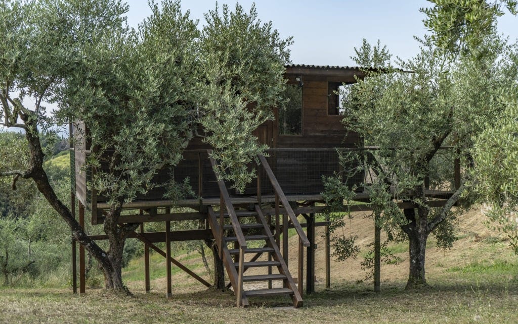casa sull' albero toscana