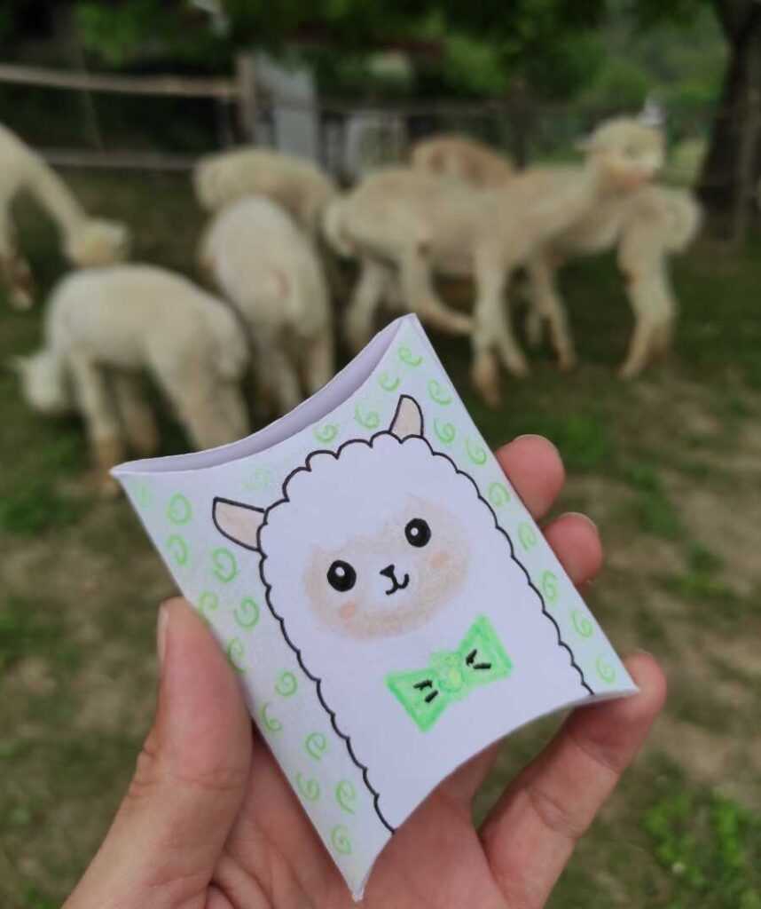 alpaca