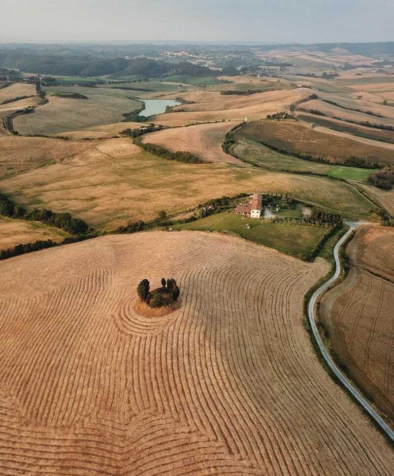 cipressi toscana