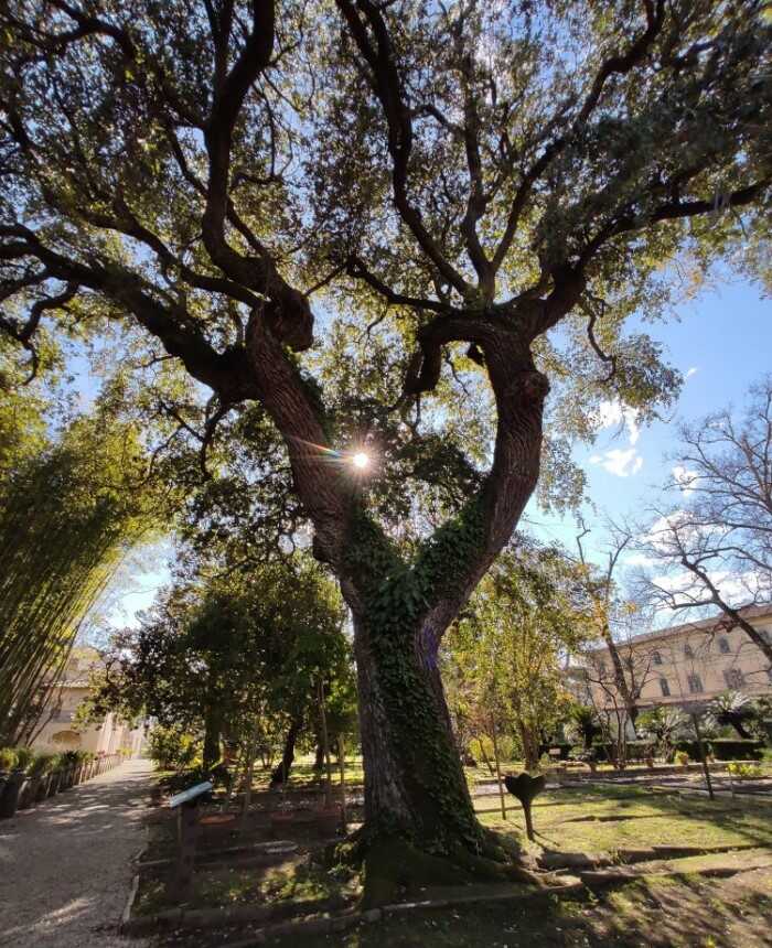 orto botanico pisa