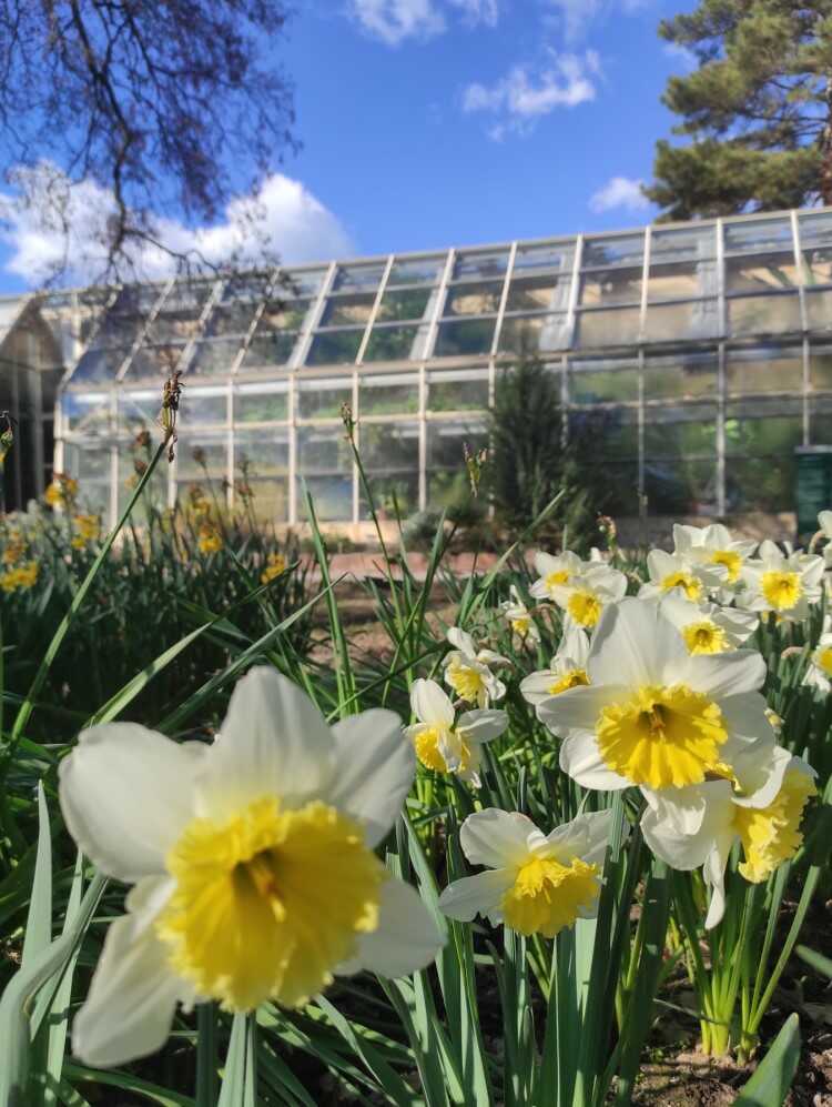 orto botanico pisa