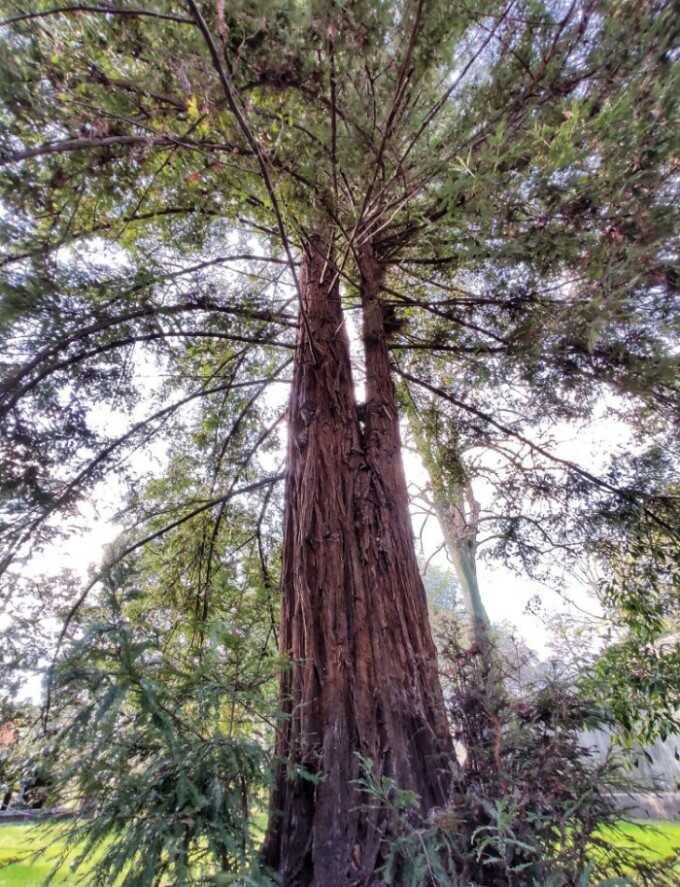 orto botanico pisa