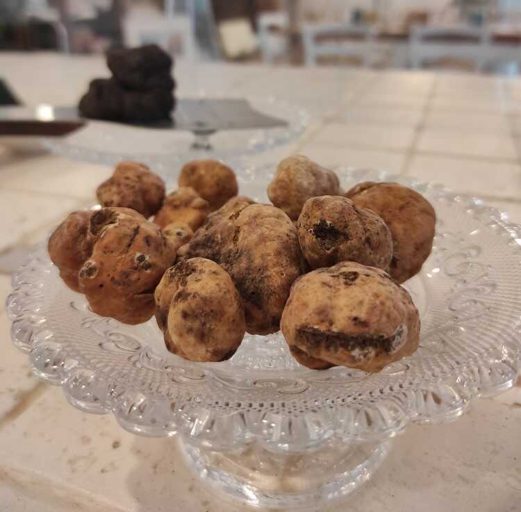 tartufo san miniato