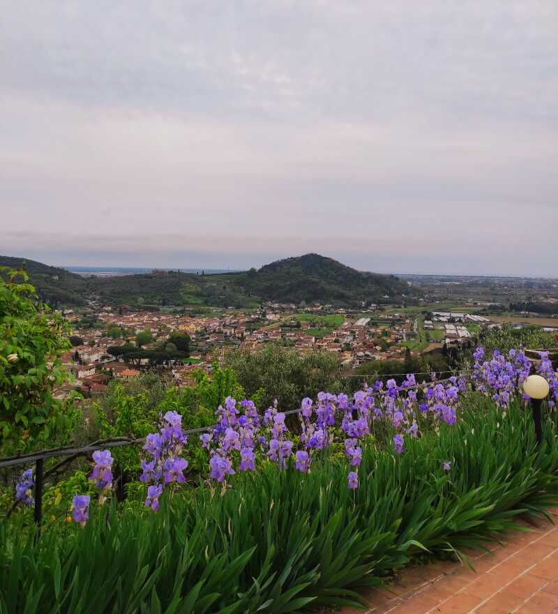 panorama di viareggio dall'agriturismo mezzaluna