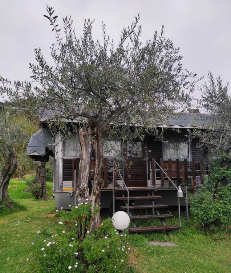 gypsy caravan poiana agriturismo mezzaluna