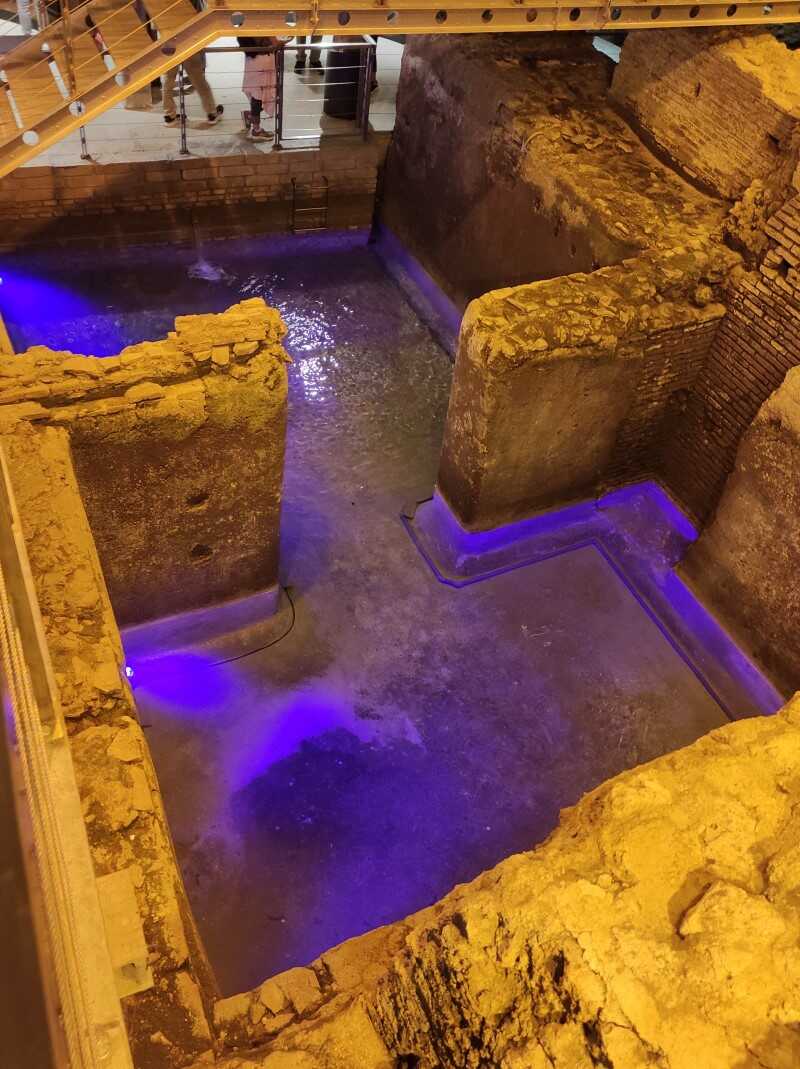 Vicus Caprarius La Città dell'Acqua