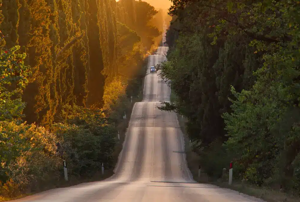 Viale dei Cipressi Bolgheri