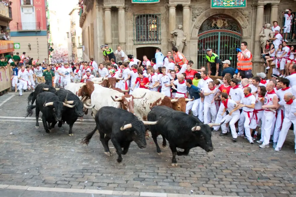 corsa dei tori a pamplona