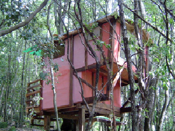 casa sull'albero toscana