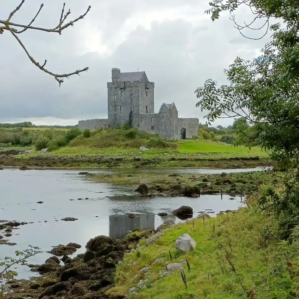 castello di dunguaire irlanda