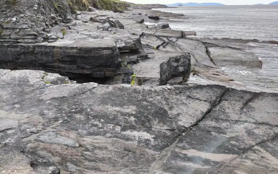 impronte dinosauro irlanda Tetrapod Trackway