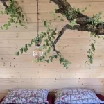 casa sull'albero maremma toscana agriturismo pereti